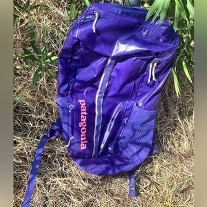 Patagonia Black Hole Backpack in Perennial Purple